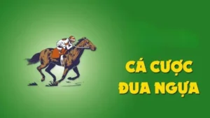 Khám Phá Đua Ngựa TYPHU88: Chiến Lược Đặt Cược Chuẩn Xác Nhất